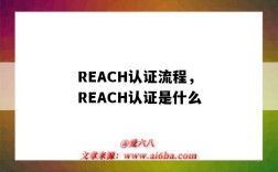 REACH認證流程，REACH認證是什么（REACH認證是什么認證）