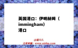 英國港口：伊明赫姆（immingham）港口（英國伊明赫姆港口圖）