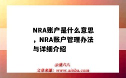 NRA賬戶是什么意思，NRA賬戶管理辦法與詳細介紹（nra賬戶是指）