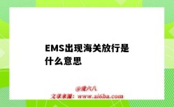 EMS出現海關放行是什么意思（ems狀態一直是海關放行）