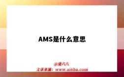 AMS是什么意思（ams是什么意思車上的）