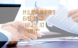 什么是跨境電商9610、1210、1239、1039模式