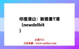 印度港口：新德里T港（newdelhit）（印度新德里港口英文）