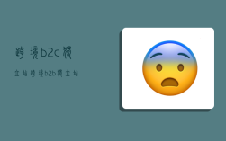 跨境b2c獨立站,跨境b2b獨立站