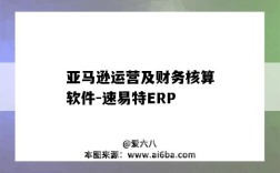 亞馬遜運營及財務核算軟件-速易特ERP（亞馬遜財務系統）