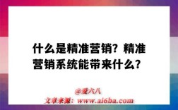 什么是精準營銷？精準營銷系統能帶來什么？（什么叫精準營銷）