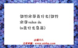 銀行水單是什么(銀行水單value date是什么意思)