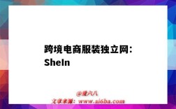 跨境電商服裝獨立網：SheIn（服裝類跨境電商平臺）