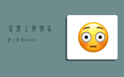 怎么上推特,怎么上推特twitter