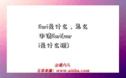 Eori是什么，怎么申請Eori(eori是什么稅)