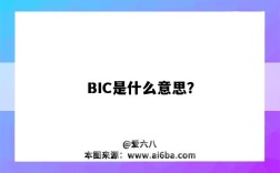 BIC是什么意思？