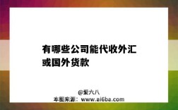 有哪些公司能代收外匯或國外貨款