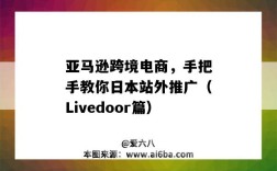 亞馬遜跨境電商，手把手教你日本站外推廣（Livedoor篇）（亞馬遜日本站賣家支持）