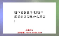 出口發票是什么(出口報關的發票是什么發票)