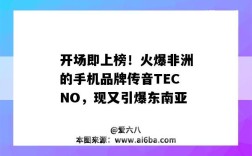 開場即上榜！火爆非洲的手機品牌傳音TECNO，現又引爆東南亞（非洲手機中國品牌傳音）