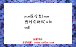 poe是什么(poe是什么考試 a level)