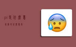 pi是什么意思,辟是什么意思