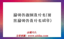 鹿特丹規則是什么(荷蘭鹿特丹是什么城市)