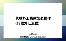 代收外匯貨款怎么操作(代收外匯流程)