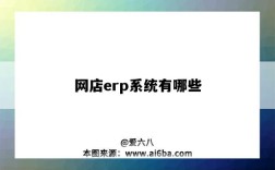 網店erp系統有哪些（網店erp系統哪個好）