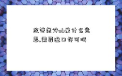 監管條件ab是什么意思,需要進口許可嗎