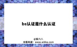 bs認證是什么認證（bsci認證是什么認證）