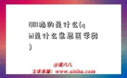 QID指的是什么(qid是什么意思醫學類)