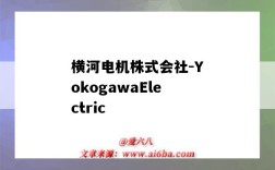 橫河電機株式會社-YokogawaElectric（日本橫河電機株式會社）