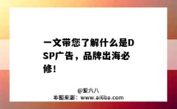 一文帶您了解什么是DSP廣告，品牌出海必修?。ㄊ裁词荄SP廣告）