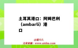 土耳其港口：阿姆巴利（ambarli）港口（ambarli 土耳其什么港口）