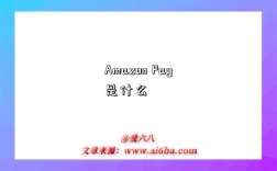 Amazon Pay是什么