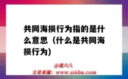 共同海損行為指的是什么意思（什么是共同海損行為)