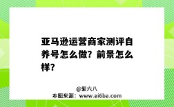 亞馬遜運營商家測評自養號怎么做？前景怎么樣？（亞馬遜自養號測評流程）