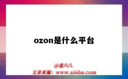 ozon是什么平臺（ozon運營資料）