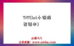 TNT(tnt小說推薦話本)