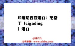 印度尼西亞港口：芝格?。╟igading）港口（印度尼西亞 港口）