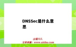 DNSSec是什么意思（Dnssec）