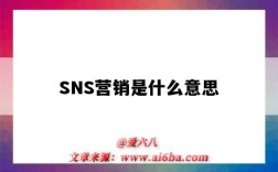 SNS營銷是什么意思（什么叫sns營銷）