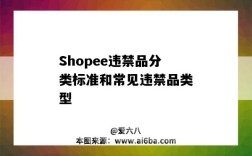 Shopee違禁品分類標準和常見違禁品類型（shopee違禁品B類）