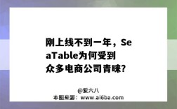 剛上線不到一年，SeaTable為何受到眾多電商公司青睞？