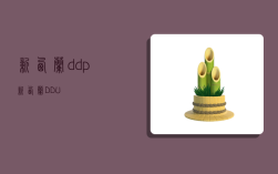 新西蘭ddp,新西蘭DDU