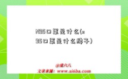 N95口罩是什么(n95口罩是什么牌子)