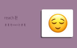 reach什么意思,reach什么意思英語(yǔ)翻譯