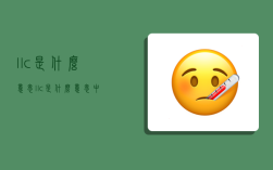 llc是什么意思,llc是什么意思中文翻譯