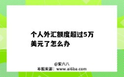 個(gè)人外匯額度超過5萬美元了怎么辦