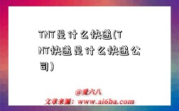 TNT是什么快遞(TNT快遞是什么快遞公司)