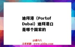 迪拜港（PortofDubai）迪拜港口是哪個國家的（迪拜是港口嗎）