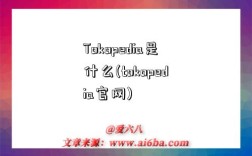 Tokopedia是什么(tokopedia官網)