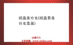 托盤是什么(托盤貨是什么意思)