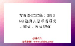 今日外匯匯率：5月26日離岸人民幣兌美元、歐元、日元貶值